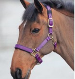 Shires Topaz Luxe Nylon Halsters