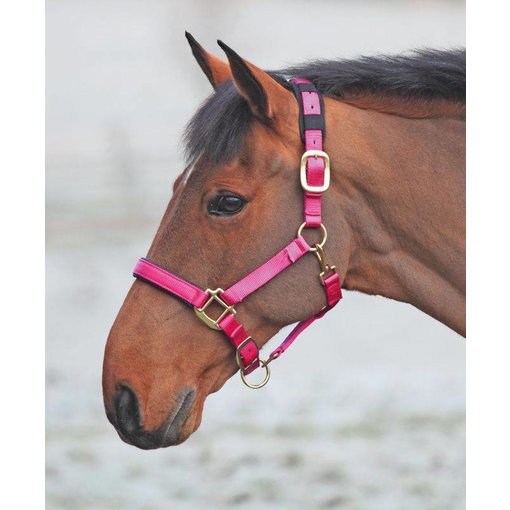 Shires Topaz Luxe Nylon Halsters