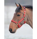 Shires Topaz Luxe Nylon Halsters