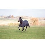 Shires Tempus Plus 300 *HOGE KORTING