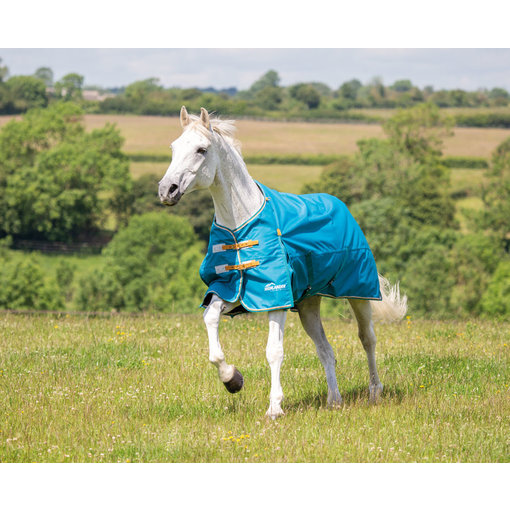 Shires Highlander Original Lite