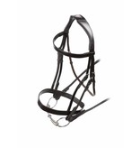 Velocity Gara Velocity Hunter Cavesson Hoofdstel