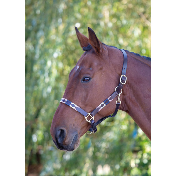 Blenheim Lederen Polo Halster