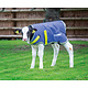 Tempest Original Calf/Foal Turnout deken