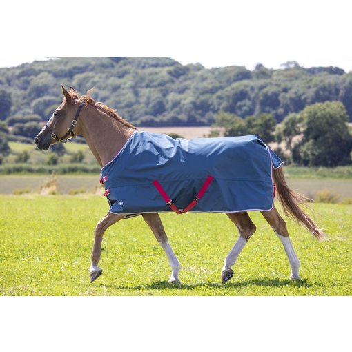 Shires Tempest Original Lite