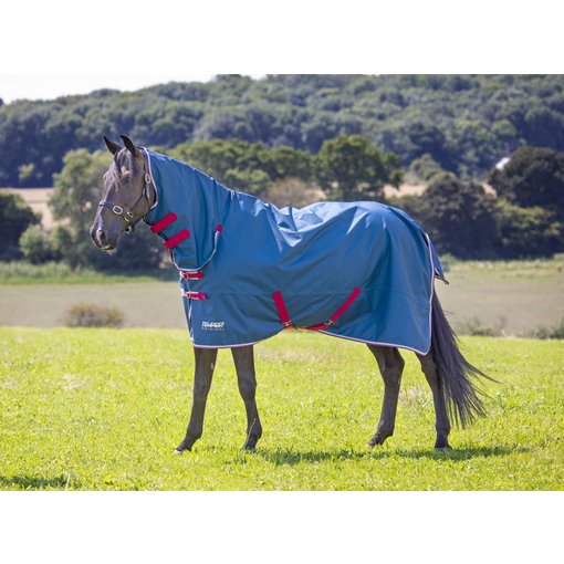 Shires Tempest Original Lite Combo