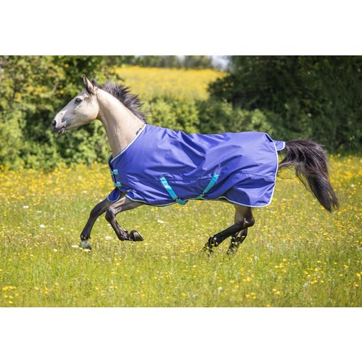 Shires Tempest Original 100