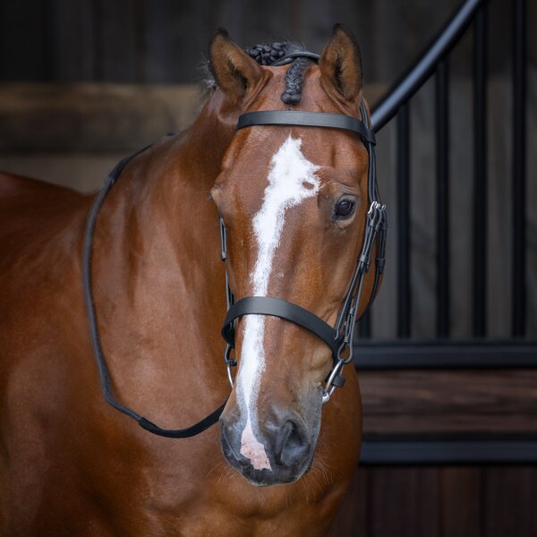 Velocity Hunter Cavesson Hoofdstel