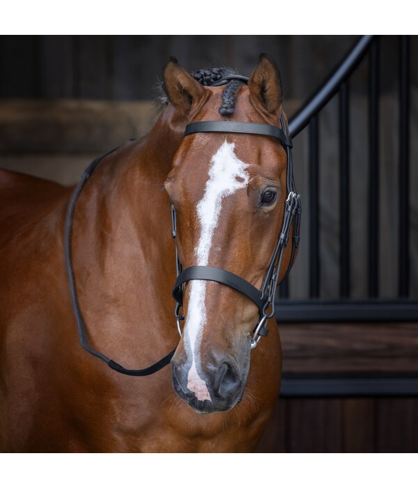 Velocity Gara Velocity Hunter Cavesson Hoofdstel