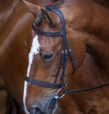 Velocity Gara Velocity Hunter Cavesson Hoofdstel