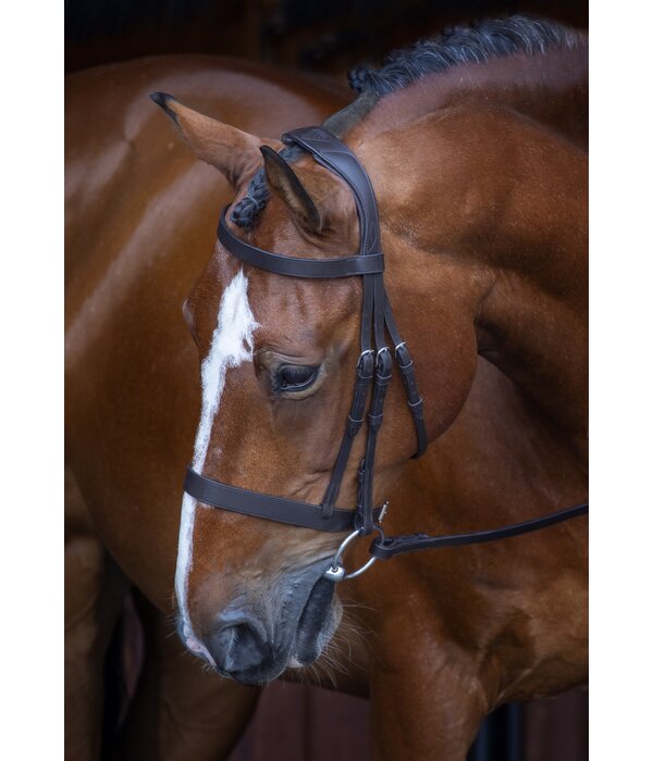 Velocity Gara Velocity Hunter Cavesson Hoofdstel