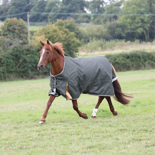 Shires Highlander Plus 50 Turnout rug 1200D ***OP VOORRAAD