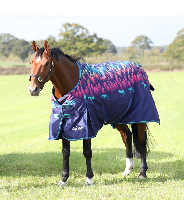 Shires Highlander Original 100