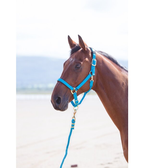 Shires Topaz Luxe Nylon Halsters