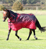 Shires Tempest Original 200 Combo