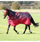 Shires Tempest Original 200 Combo