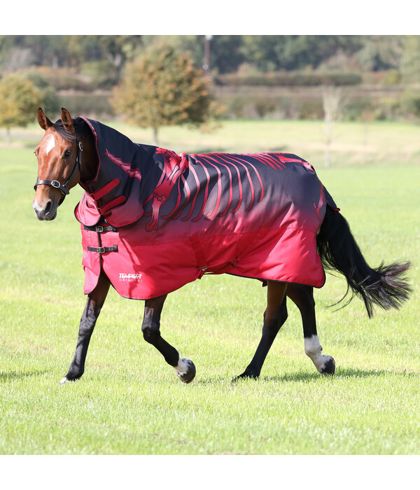 Shires Tempest Original 200 Combo