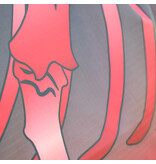 Shires Tempest Original 200 Combo