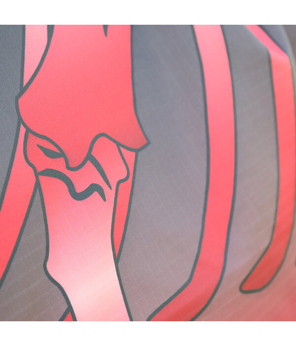 Shires Tempest Original 200 Combo