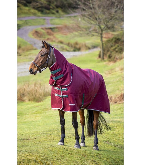 Shires Tempest Original 200 Combo