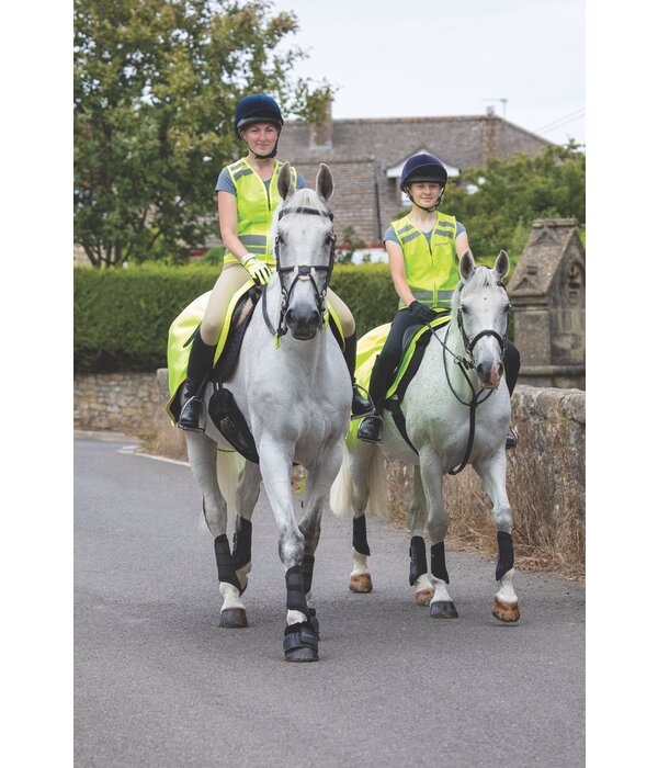 EQUI-FLECTOR Equi-Flector Safety Vest