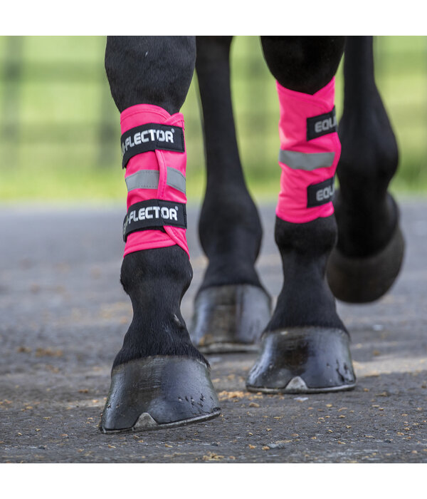 EQUI-FLECTOR EQUI-FLECTOR®  banden
