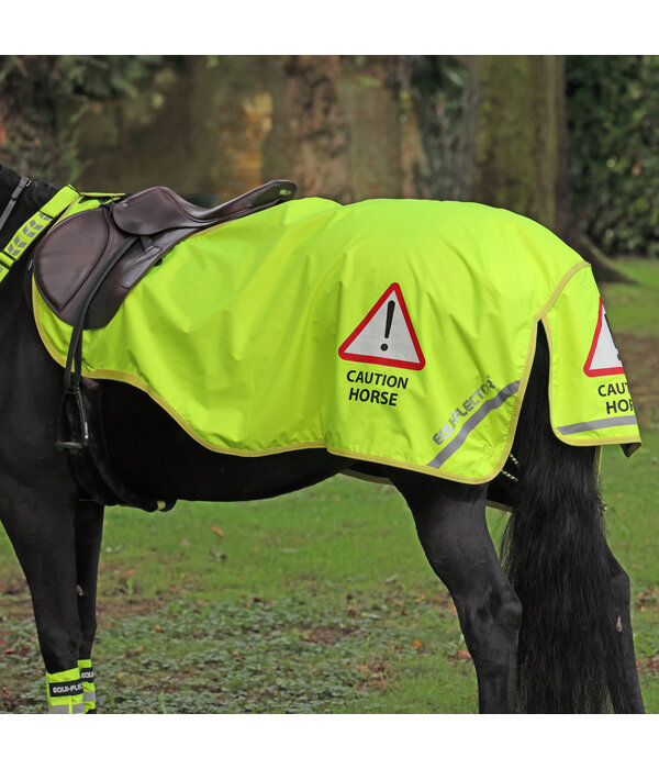 EQUI-FLECTOR EQUI-FLECTOR waterdichte trainingsdeken met fleece voering