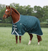 Shires Highlander Original 300