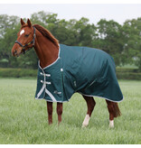 Shires Highlander Original 300