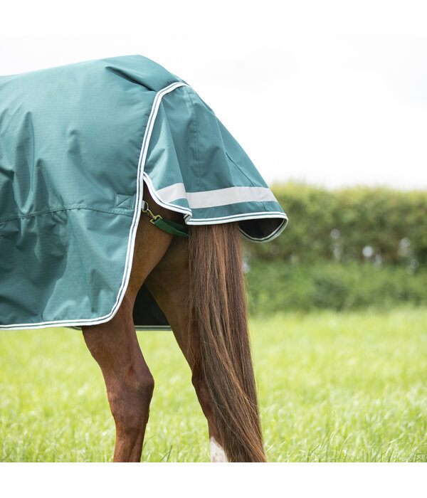 Shires Highlander Original 300