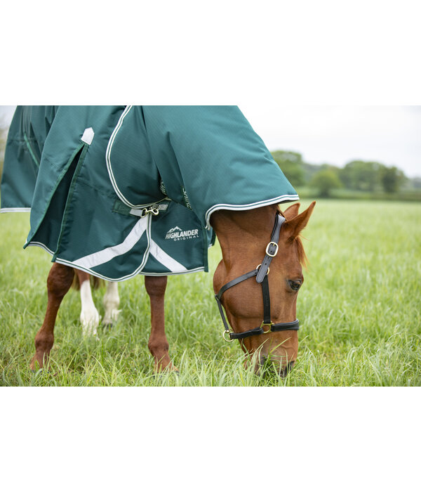 Shires Highlander Original 300