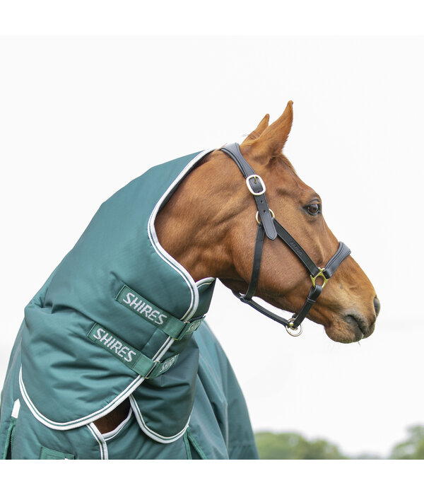 Shires Highlander Original 300