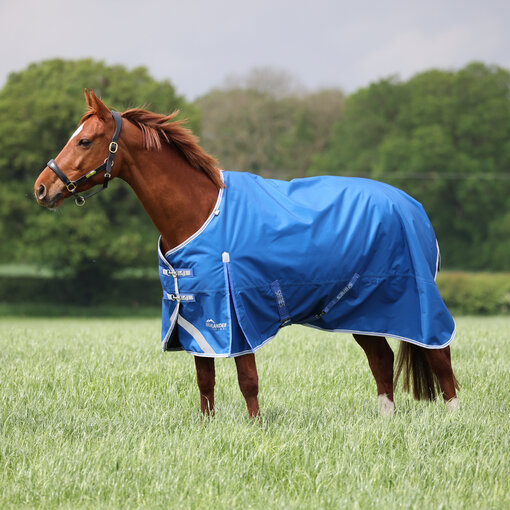 Shires Highlander Original 200  ***OP VOORRAAD