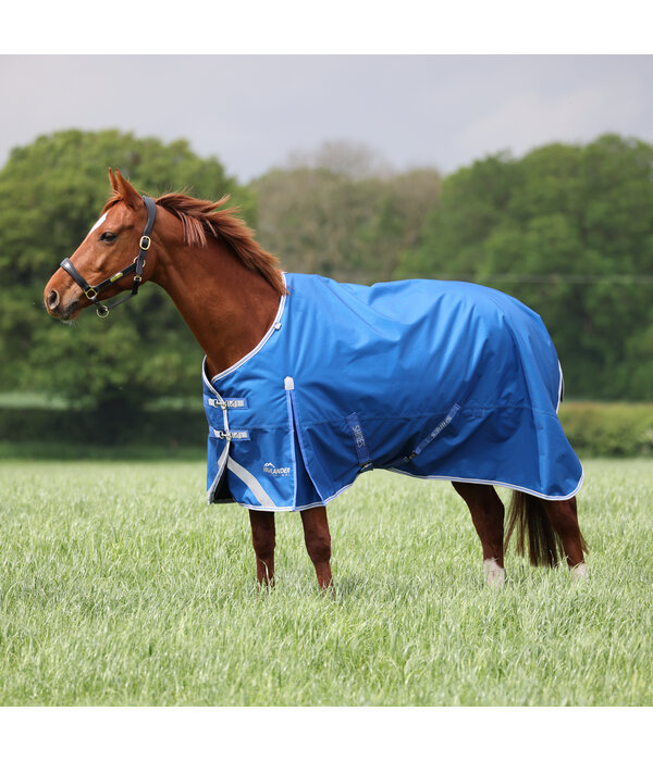 Shires Highlander Original 200