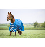 Shires Highlander Original 200