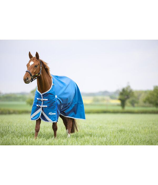 Shires Highlander Original 200