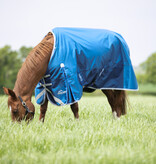 Shires Highlander Original 200