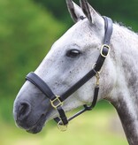 Blenheim Blenheim Lederen Reishalster