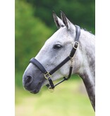 Blenheim Blenheim Lederen Reishalster