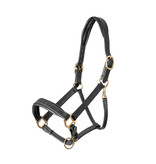 Velocity Gara Velociti GARA lederen (reis) halster