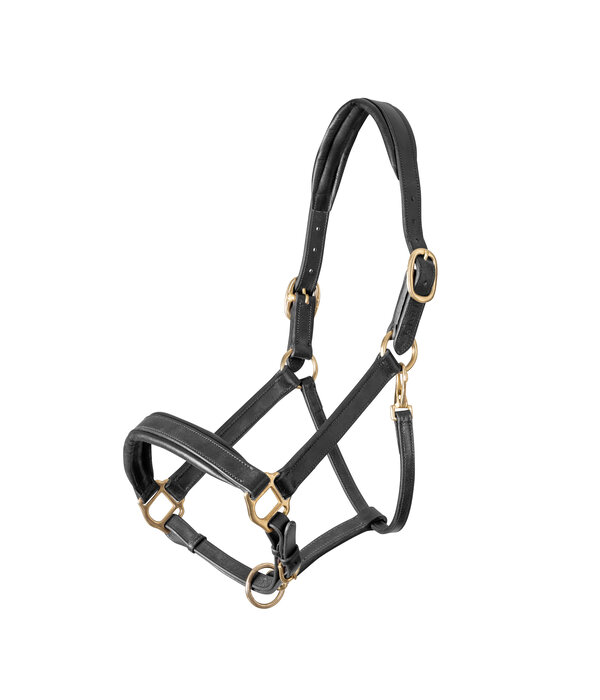 Blenheim Blenheim Lederen Reishalster