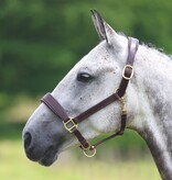 Blenheim Blenheim Lederen Reishalster