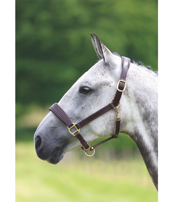 Blenheim Blenheim Lederen Reishalster