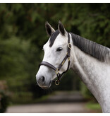 Blenheim Blenheim Lederen Reishalster