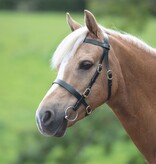 Blenheim Blenheim Showhoofdstel met platte neusriem