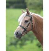 Velocity Gara Velociti GARA Plain voorbreng/show Hoofdstel met een platte neusriem en frontriem.