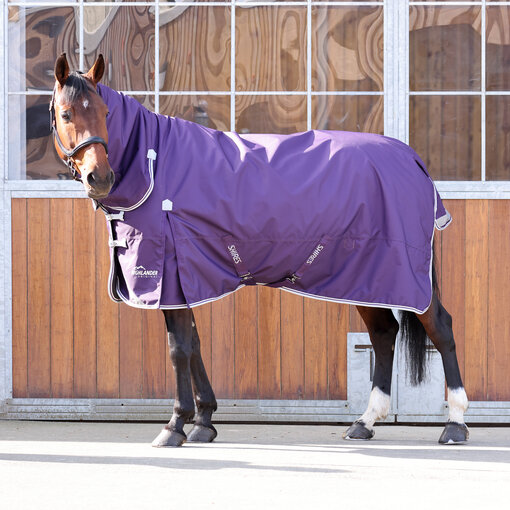 Shires Highlander Original 100 Combo