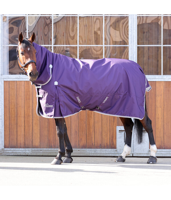 Shires Highlander Original 100 Combo