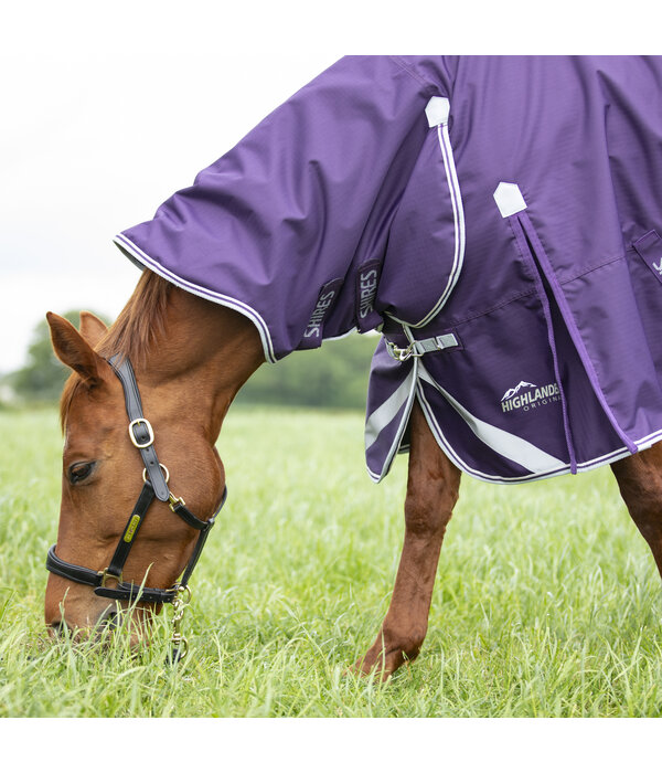 Shires Highlander Original 100 Combo