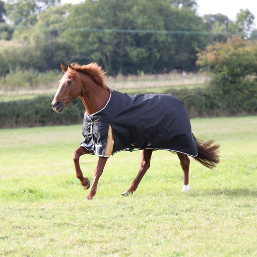 Shires Highlander Plus 200gr Turnout rug 1200D ====== LAGE PRIJS - OP VOORRAAD